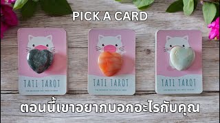 Pick a card ❤️ ตอนนี้เขาอยากบอกอะไรกับคุณ NO.32 เปิดไพ่ข้อความแบบละเอียด (Timeless)