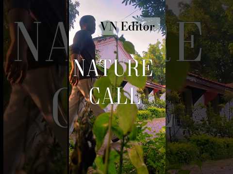 VN Editor| VN Highlight #vnapp  #shorts  #shortsfeed
