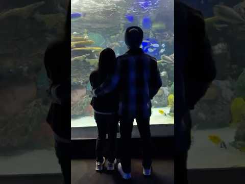 Day out😄 #love #harshi #aquarium #canada #ripleysaquarium #fishes