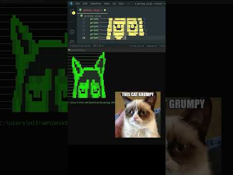MEMEs but you are a programmer