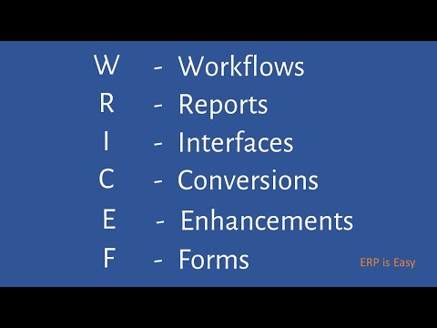 What is WRICEF in SAP?