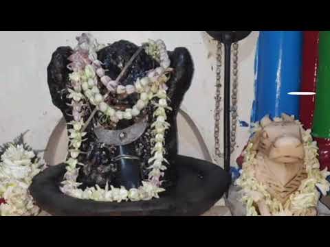 🌼🔱জয় বাবা ঈশানেশ্বর 🔱🙏।। 🌼জয় বাবা গাজনেশ্বর 🙏। ঈশানেশ্বরের শিব মহাদেব 🔥🔱 🌼।