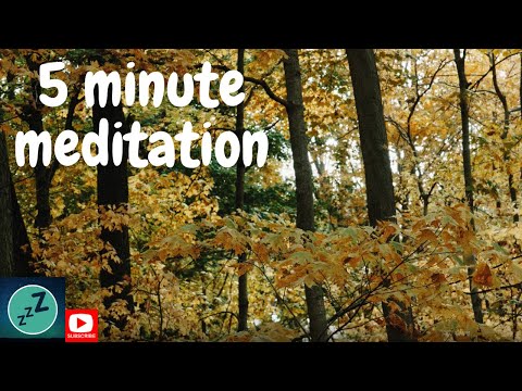5 MINUTE MEDITATION Autumn Leaves Falling - Relax to the soft sounds of wind blowing in the forest