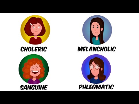 4 Types of Temperaments Explained 3 Minutes