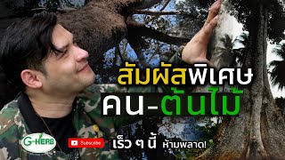 สัมผัสพิเศษระหว่าง "คน กับ ต้นไม้" โดย ป๊อบ อัศวิน ห้ามพลาด เร็ว ๆ นี้ (Official Teaser)