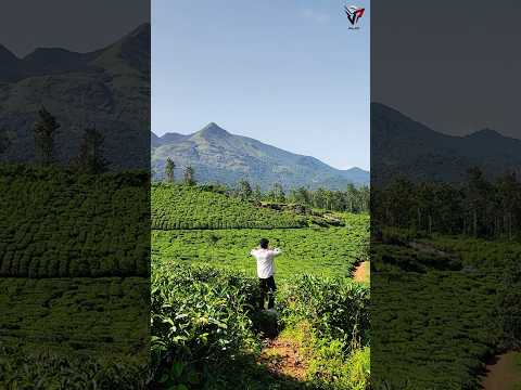 Hidden spot in wayanad #shorts #wayanad