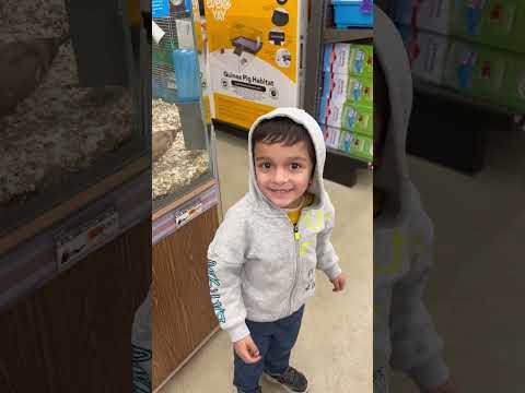 Aadi with his furry friends at local Petco shop