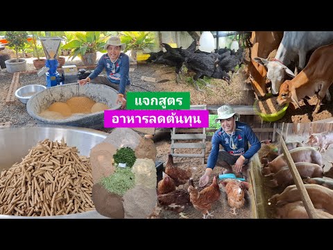 ทำอาหารลดต้นทุนแบบกินได้ทุกสัตว์🦆ประหยัดและโตดี🐖