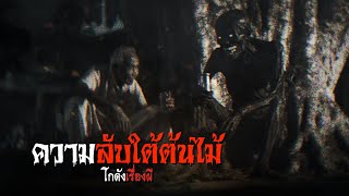 ความลับใต้ต้นไม้ | โกดังเรื่องผี EP.313 [เรื่องเล่า]