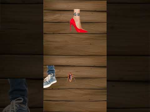 it was hard 15 seconds of my life #design #amnewbutnottheleast #shoes #animation #red #art