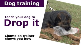 How to teach a dog to drop it | Expert puppy training advice