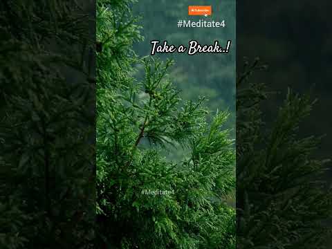 Focus is like rain- steady and unstoppable. #stressrelief #focussounds #motivation #whatsappstatus