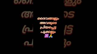 ദൈവങ്ങളും അവരുടെ പ്രിയപ്പെട്ട പൂക്കളും #shorts #jyothisham #ജ്യോതിഷം