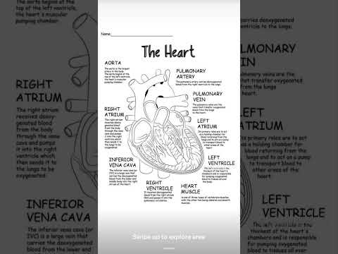 #medicalterms #heart#medicaleducation #medicalstudent #subscribemychannel