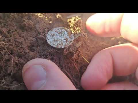 1802 half real 2/2/2023 #repost #treasure #colonial #metaldetecting   #indianastones #PA