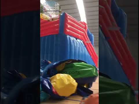 Dumbo Inflatable water slide