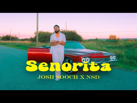 Señorita - Josh | NsD (Official Video)