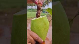 Spicy Mango + Tamarind 🤤 Mango Masala