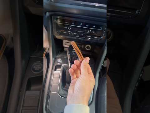 Why You Should Put Cinnamon in Your Car #helthbenefits #car #shorts