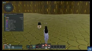 PSO2NGS クヴァリスデバステーターズ ソロSクリア FiBo ナックル