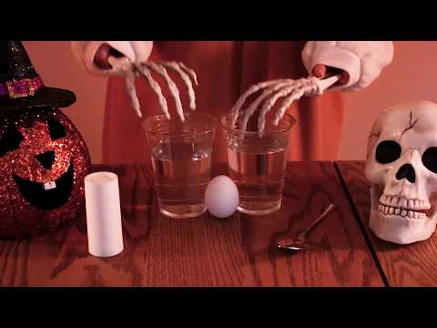 Water Education TV Halloween Special: Explore Oceans