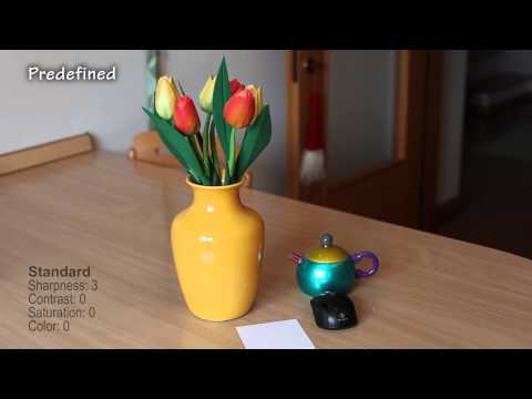 Canon 5D II Video Picture Styles