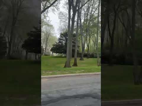 One of New Jersey's most wealthiest town #rumson#newjersey#rich#richlifestyle