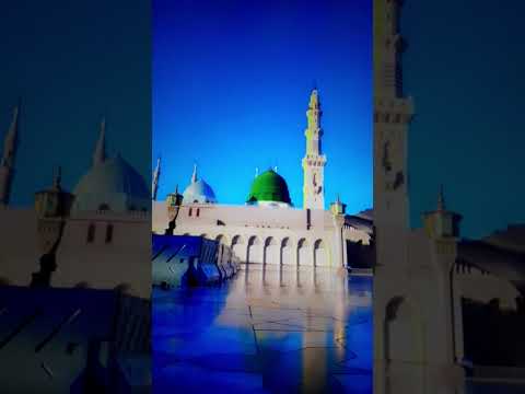 Jashn e Amad e Rasool - Farhan Ali Qadri #islam #freepalestine #shorts #youtubeshorts #shortvideo