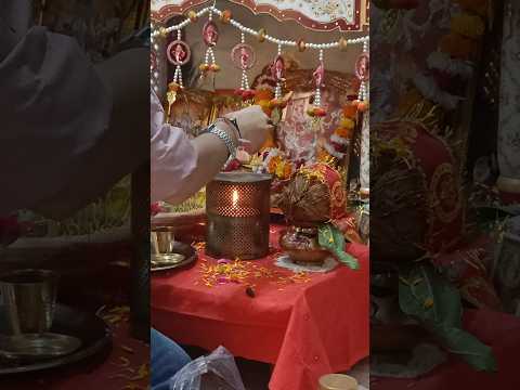 Jai Mata Di 🙏🏻 #shortsfeed #shorts #ytshorts #matarani #mataranibhajan #shortsviral