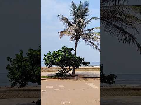 Pondicherry Beach | #Pondicherry #Beach