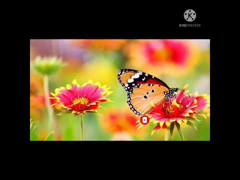 motivational Rilex Station //bay बादशाह motivation #short