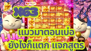สล็อตpg | สล็อตแตกง่ายpg สล็อตpgล่าสุด สล็อตวอเลทเว็บตรง  สล็อตแมวนเนโกะpg สล็อตวอเลทเว็บตรง