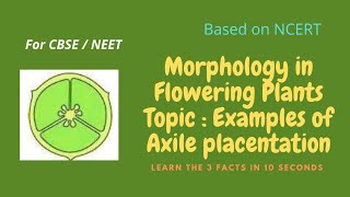 Tricks to learn Morphology of Flowering Plants #shorts #neetshorts #neet #tricks #ncert #exams #cbse