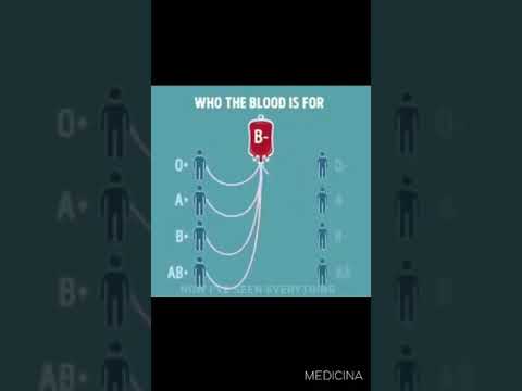 Blood Groups🩸 #Biology #Neet #Mbbs #Aiims #Mamc #Neet2021 #Neet2022 #Neet2023 #Neet2024 #NeetTricks