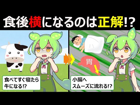 食べてすぐに横になるのは実は消化によかった!?