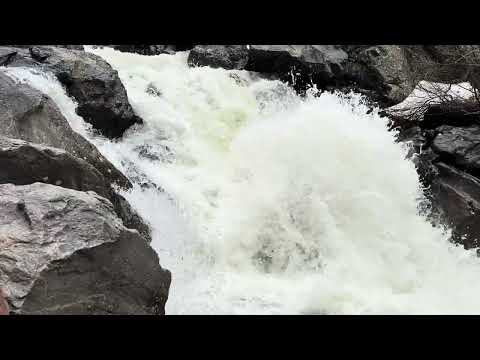 Mountain River in the Spring