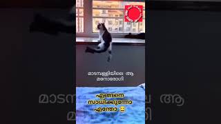 #shortvideo #shortsfeed #trendingshorts #trending #instagram #reels# #lukedavidsonshort