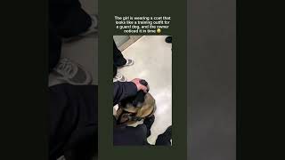 Subscribe for more inspiring content!#animalmoments #guardgog #dogtraining