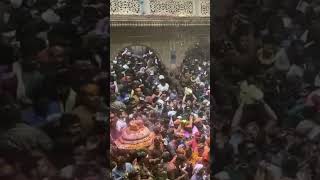 Is the mayhem of the shiva festival India one of your must see events? #shivafestival #india #shorts