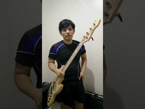 Atelier-Z m265 EVO (baessist~z) Unboxing Video