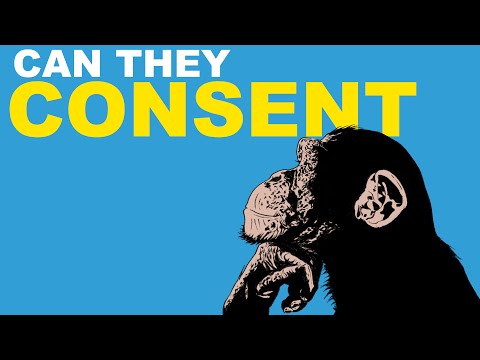 The Problem With Animal Testing