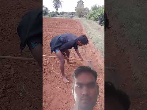 #farmer #problems #staysafe