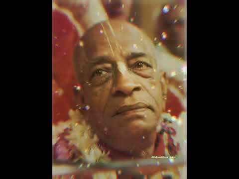 Srila Prabhupada ji #love #radhakrishna #iskcon @madhavasrockband