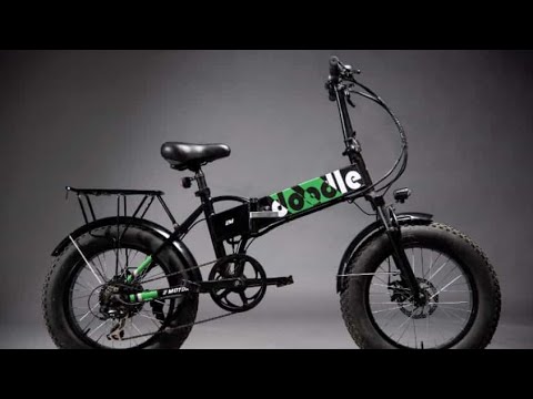 Foldable E-bike Walkaround and Test Ride : E-motorad Doodle