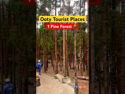 ഊട്ടിയിൽ കണ്ടിരിക്കേണ്ട സ്ഥലങ്ങൾ | Top tourist places in Ooty #shorts #shortsfeed #trending