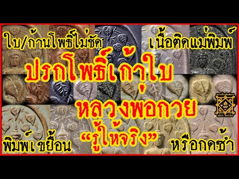 วิธีดูแบบรู้ให้จริง กับ  #พระปรกโพธิ์เก้าใบ #หลวงพ่อกวย พิมพ์นิยม ปี 2513 เขยื้อน/ไม่ชัดเพราะอะไรฯลฯ