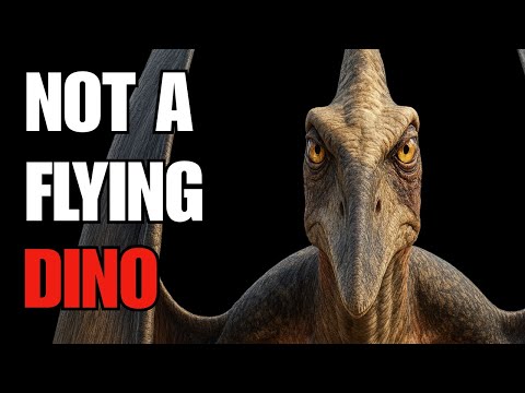 Childhood Cartoons Have Misled Us About Pteranodon for 25 Years | Science Documentary