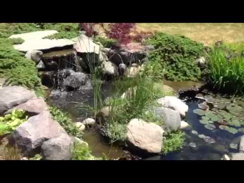 Pond