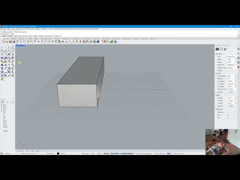 How to Fix Disappearing Curves in Rhinoceros 3D