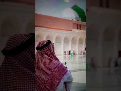 Jashn e Amad e Rasool - Farhan Ali Qadri #islam #freepalestine #shorts #youtubeshorts #shortvideo